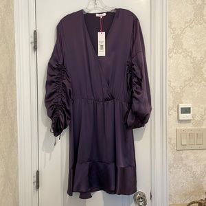 NWT Parker Dress